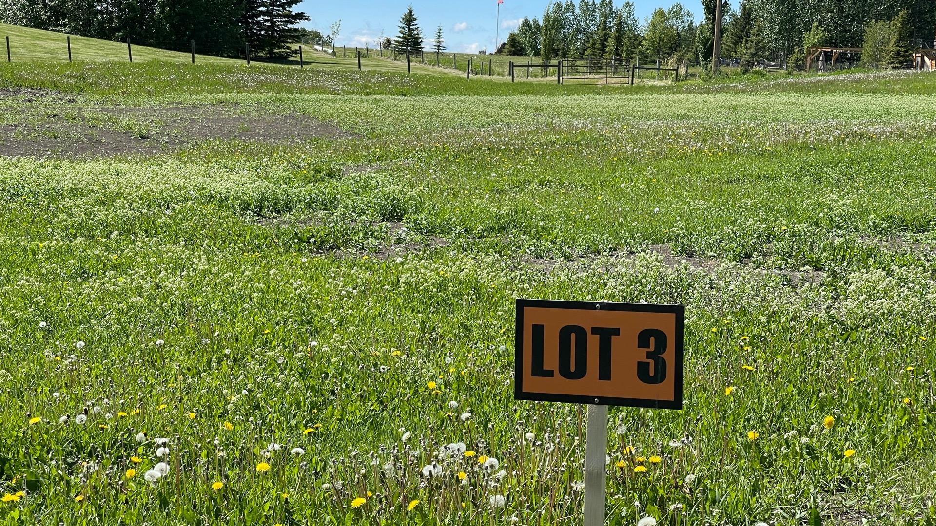 109 Willow Creek Heights, Rural Rocky View County, Alberta T3R0K3 Sold