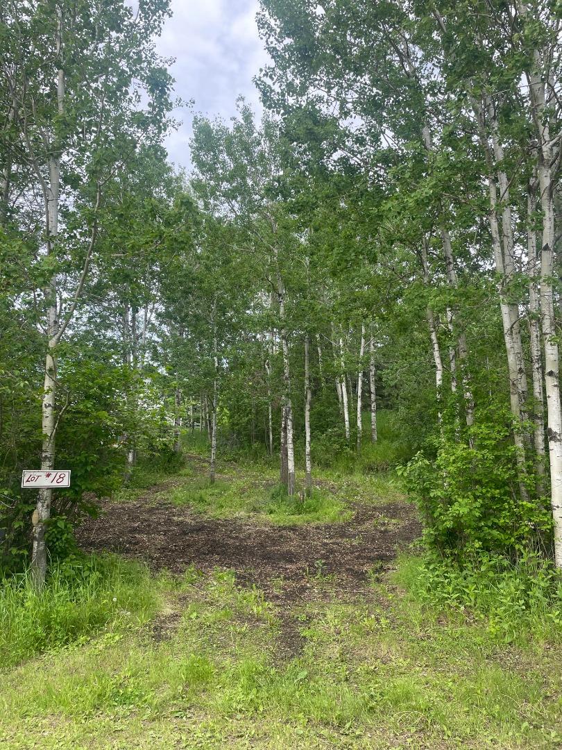 18 Pac Beach, Baptiste Lake, Rural Athabasca County, Alberta T9S2A2 Sold History HouseSigma