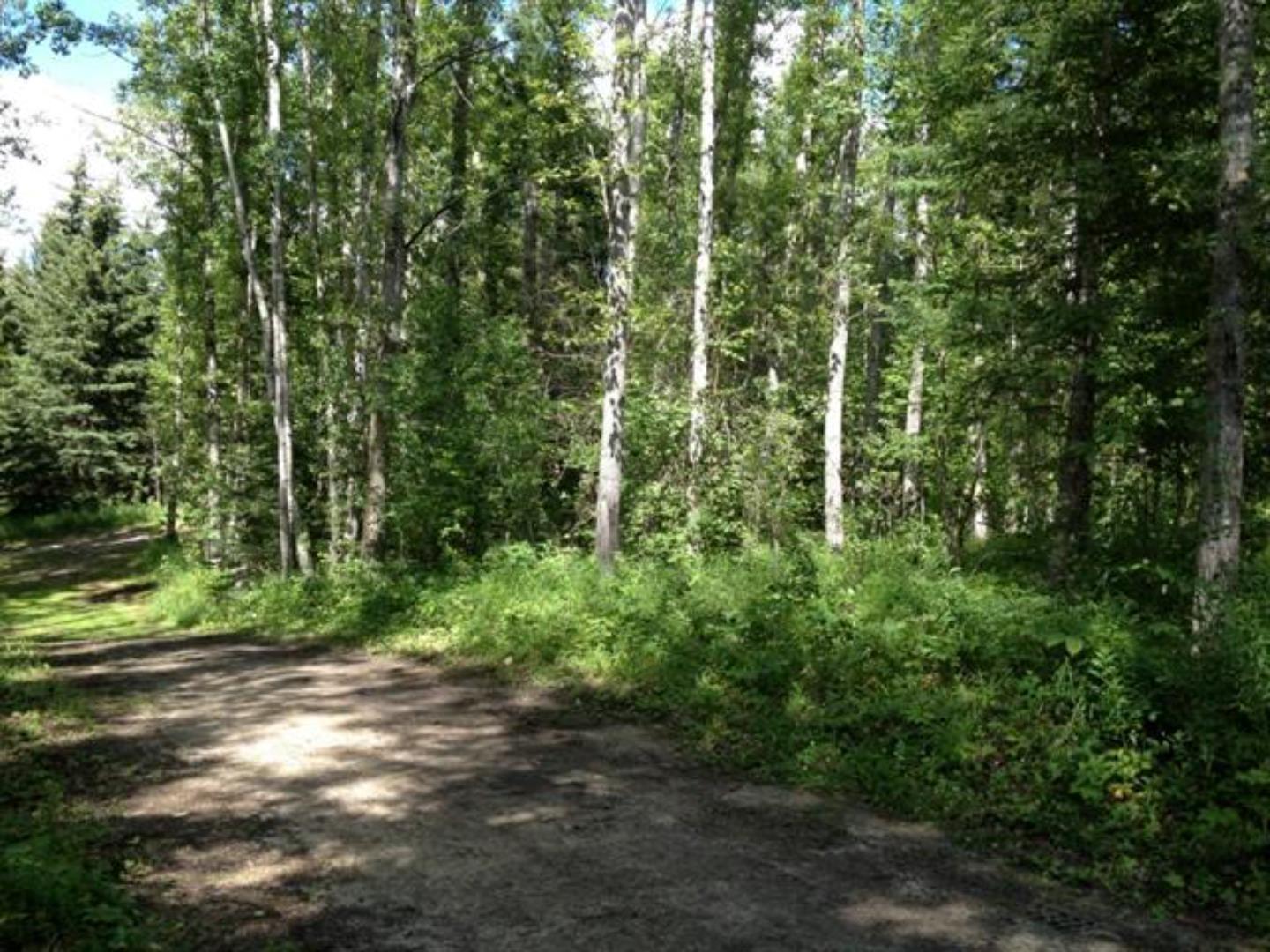 NW3672 174, Wandering River, Alberta T0A3M0 For Sale HouseSigma