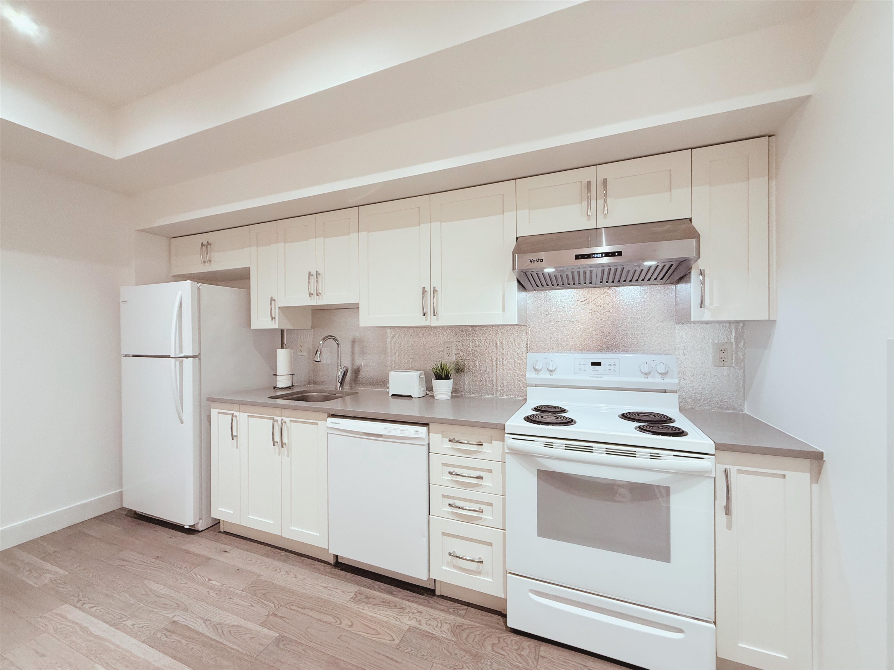 Unit Basement - 1030 166b Street, Surrey 3