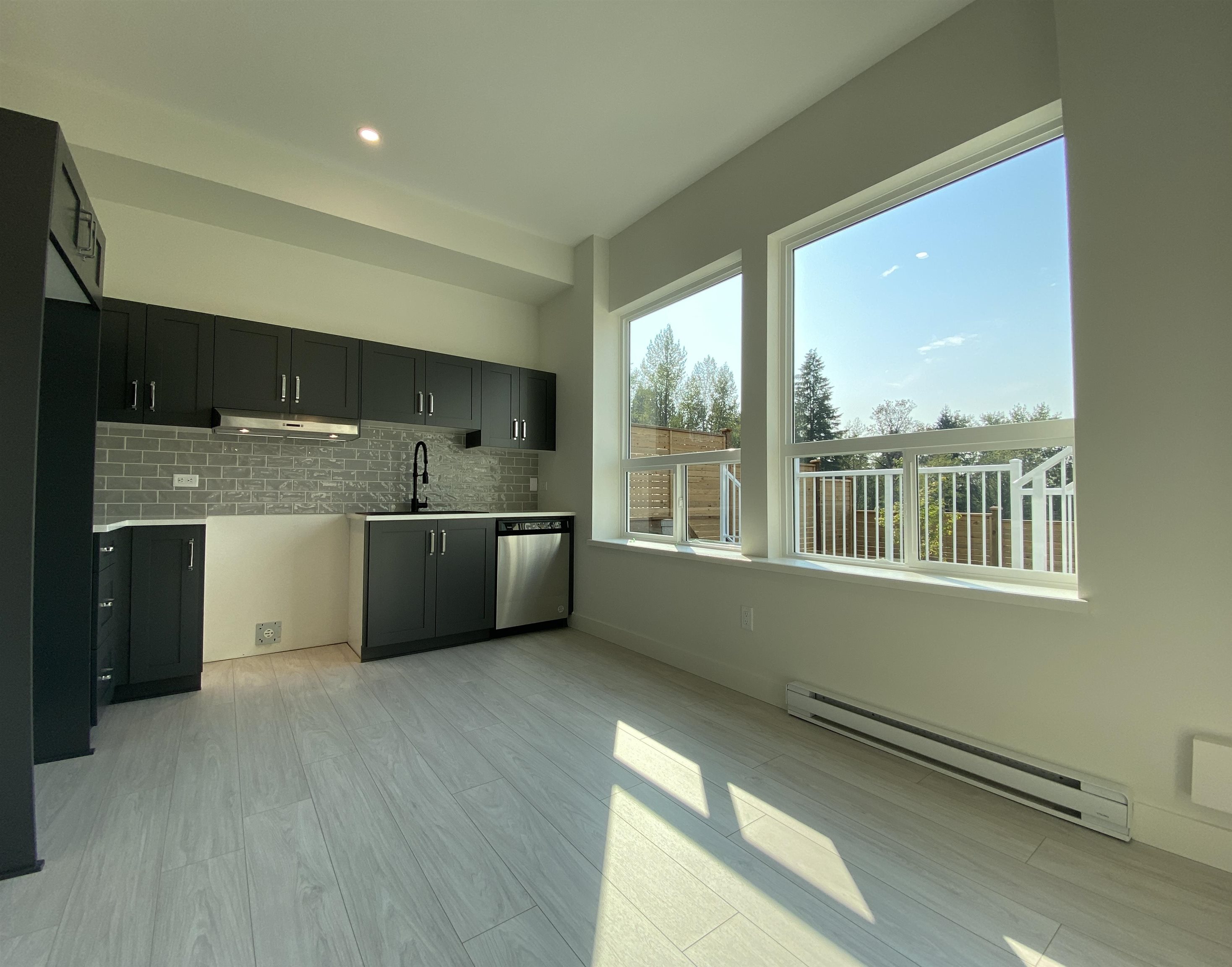 Unit BSMT - 14063 Buckels Drive, Maple Ridge 3